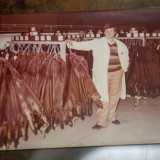 Il signore ci chiede di non fotografarlo, ma ci mostra delle preziose immagini risalenti agli anni 70 che ritraggono il pap� circondato da colli di pelliccia...